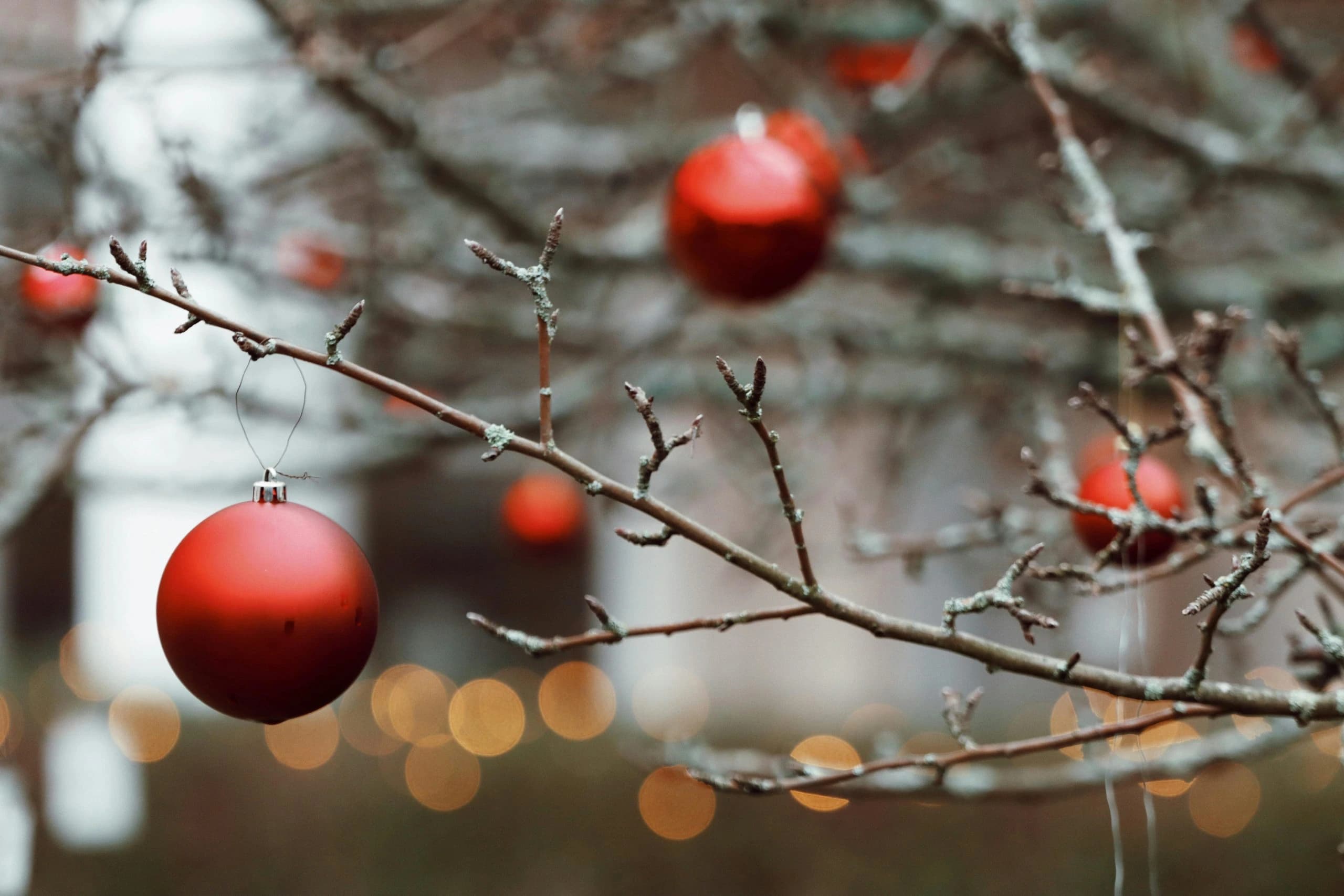 Christmas at The Limes Bar & Hotel, Needham Market